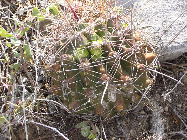 2aa98788.jpg