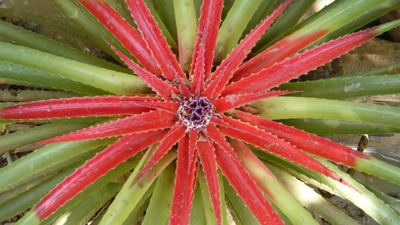 2afjwvk.jpg