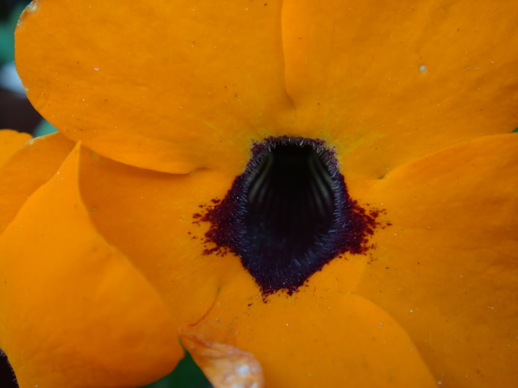 2b105823.jpg