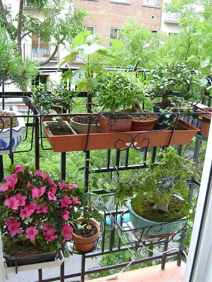 2balcon2.jpg
