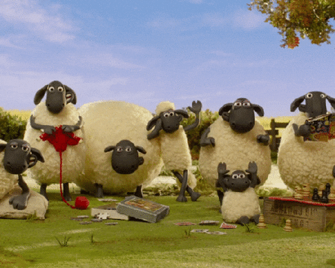 2c320e95331ac6ad7d27019668baf0a4.gif