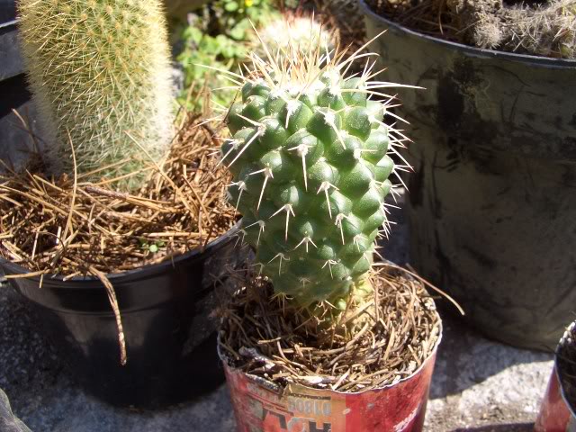 2c441c02.jpg