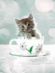 2cwuht.gif