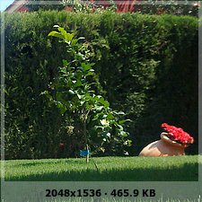 2dcd376c225786fd27af6286178f6c4eo.jpg