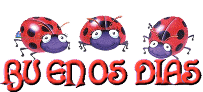 2dcgaad.jpg
