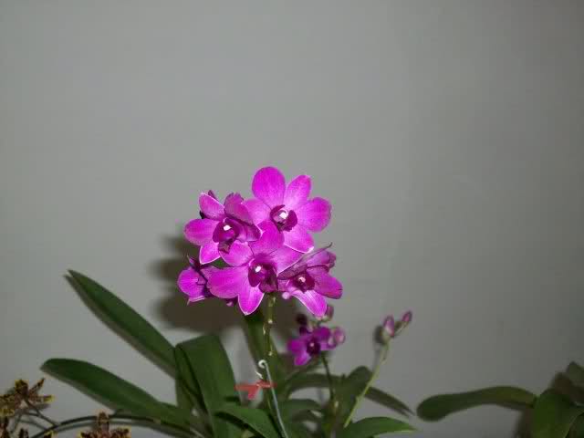 2e68n84.jpg