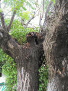 2eb31629427035.gif