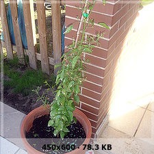 2eefe83988f2c9fa123036b2d013bc25o.jpg