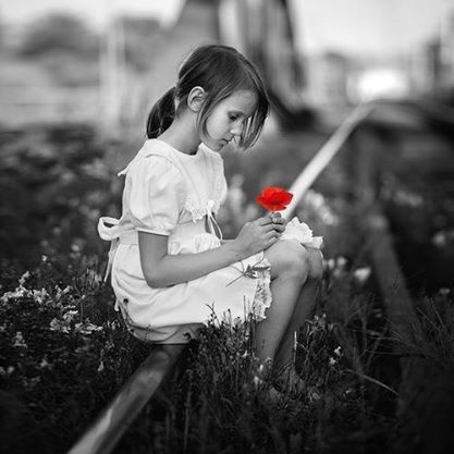 2f0edf99c41ad9470df853253e70f0f6.jpg
