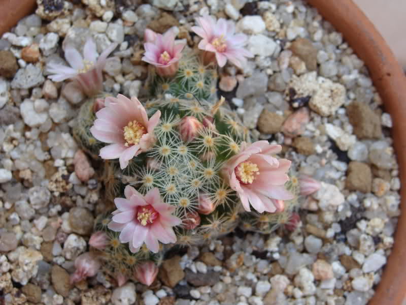 2h7p095.jpg
