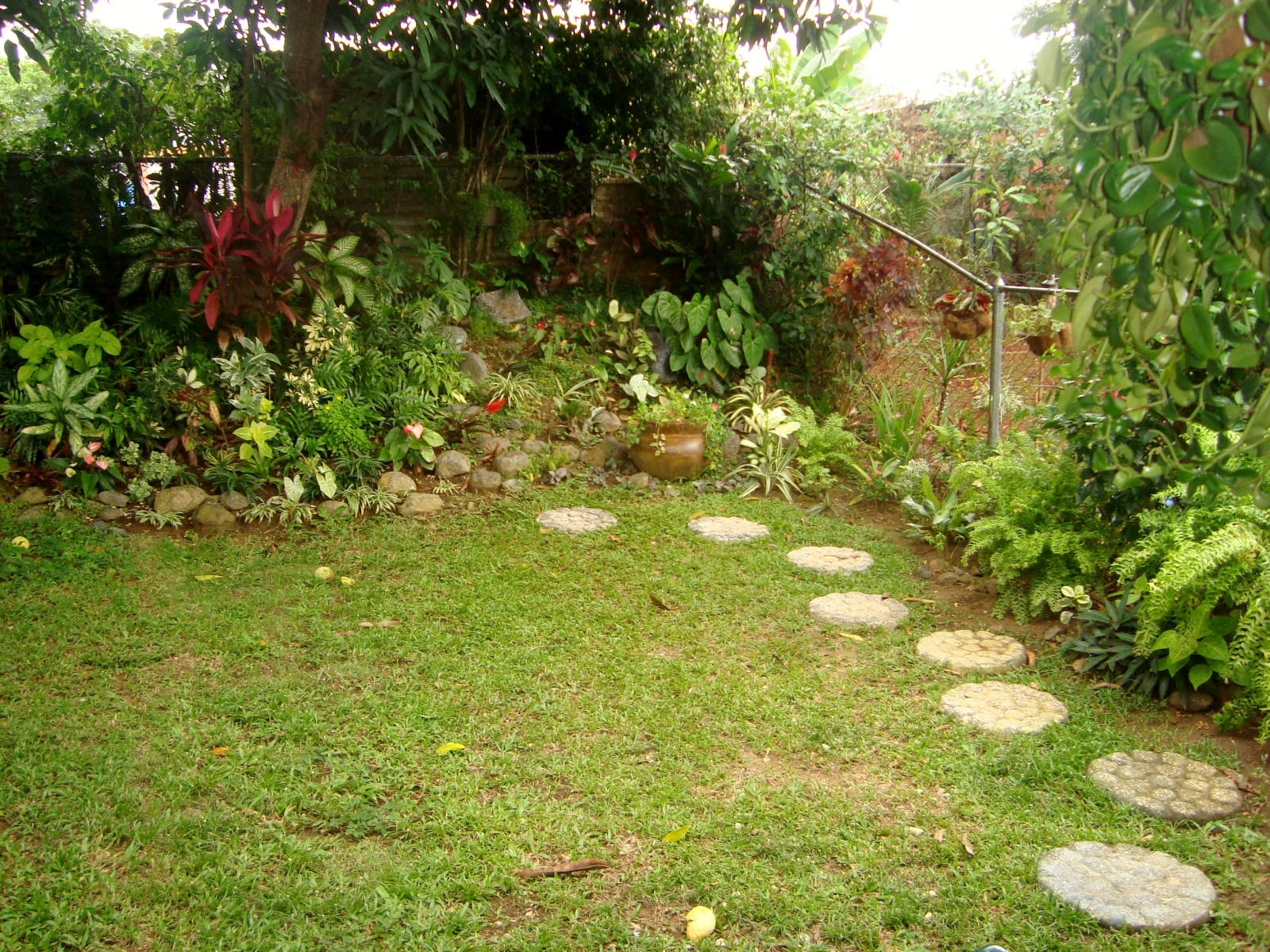 2hdpe02.jpg