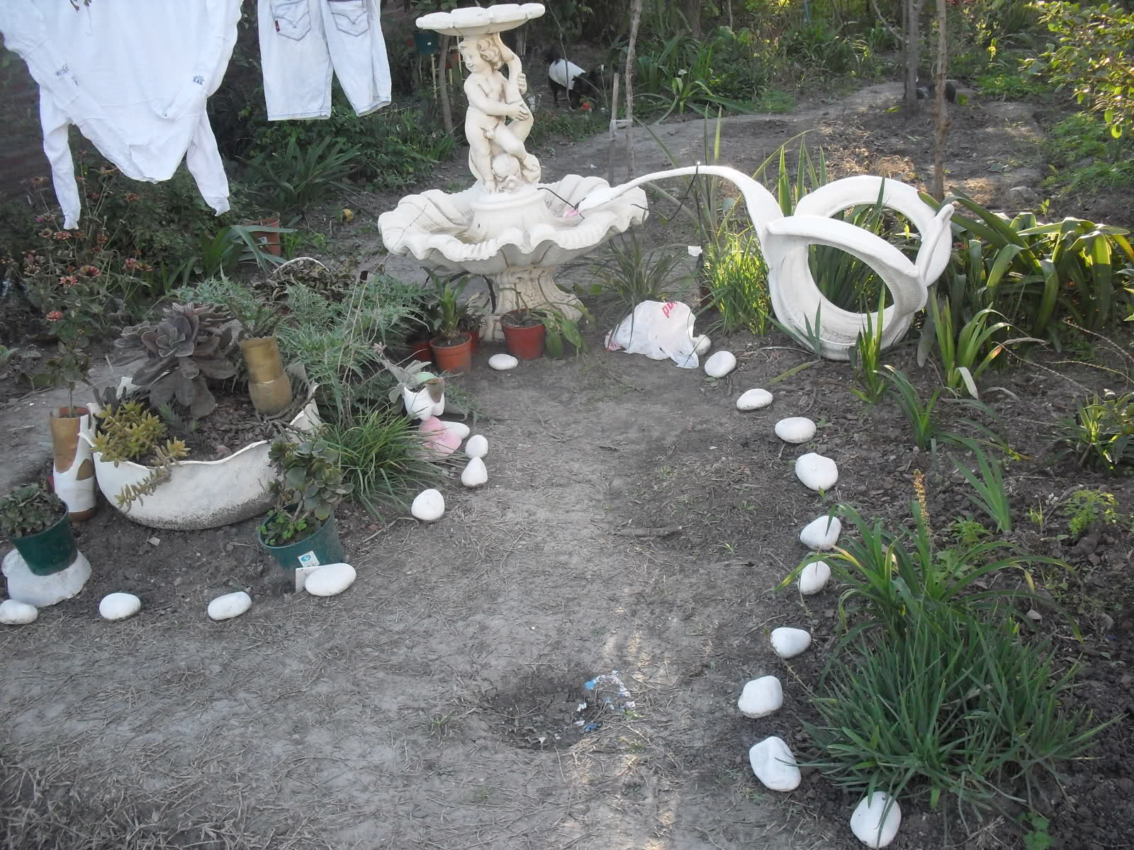 2hhf6sg.jpg