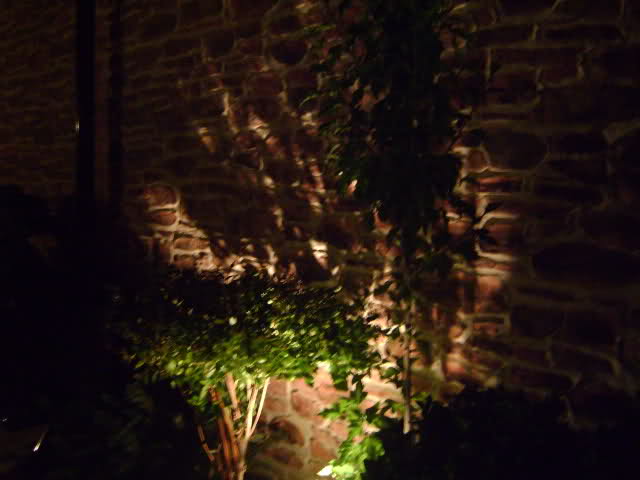 2hqz9jl.jpg