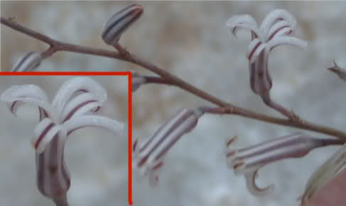 2i2945g.jpg
