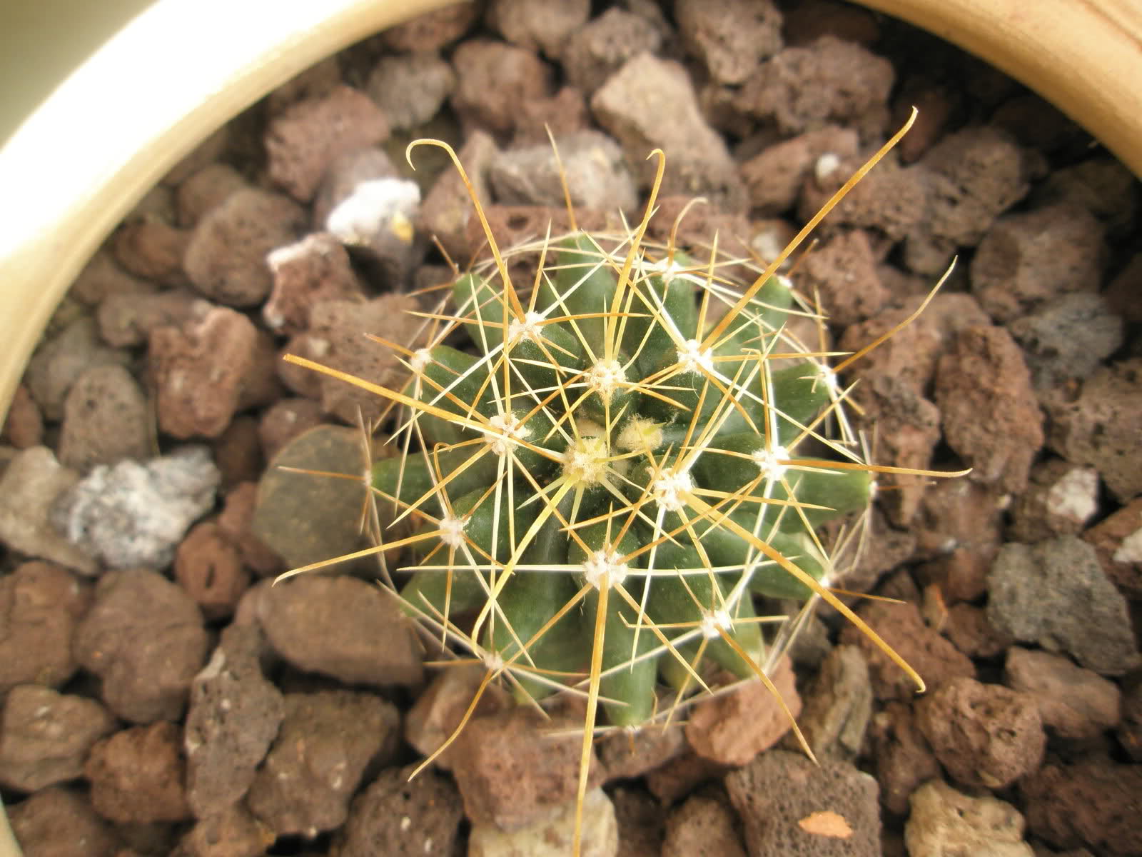 2ilcyo0.jpg
