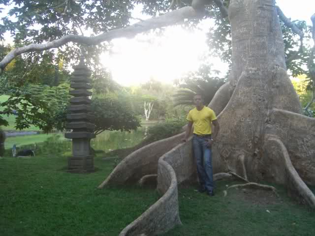 2irudc9.jpg