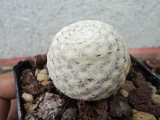 2iuyoh4.jpg