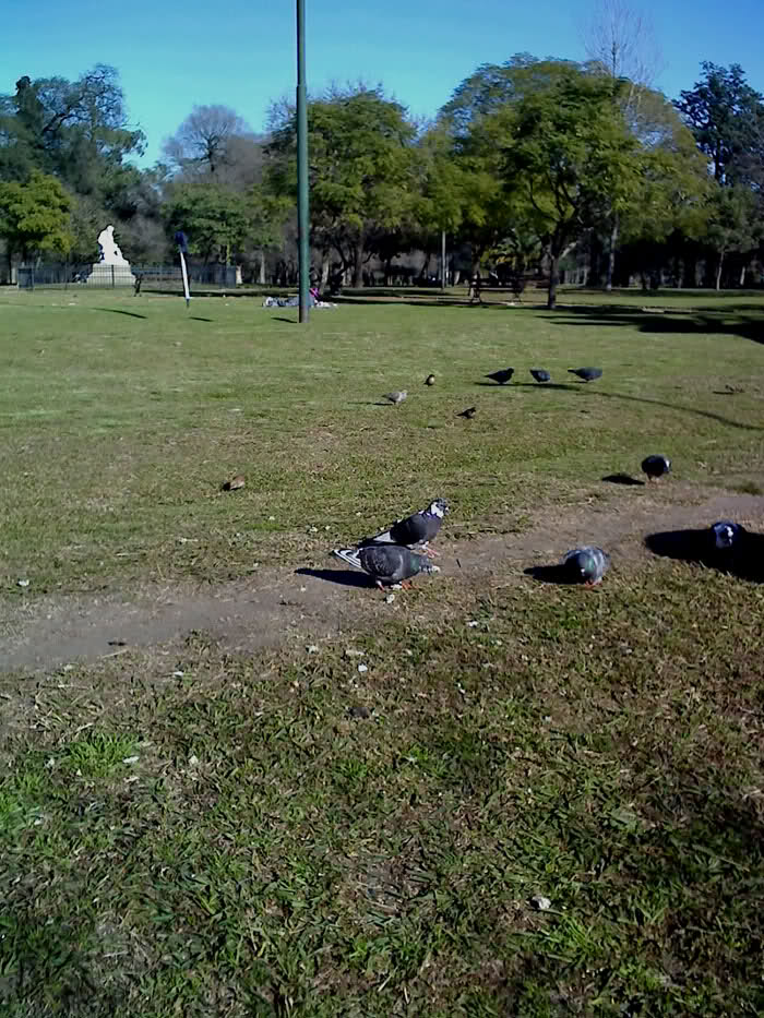 2lazy11.jpg