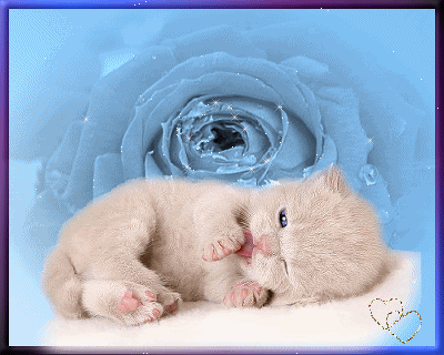 2li7zw7.gif