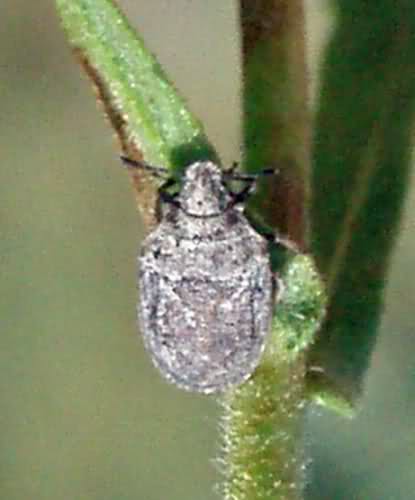 2mc9aiw.jpg