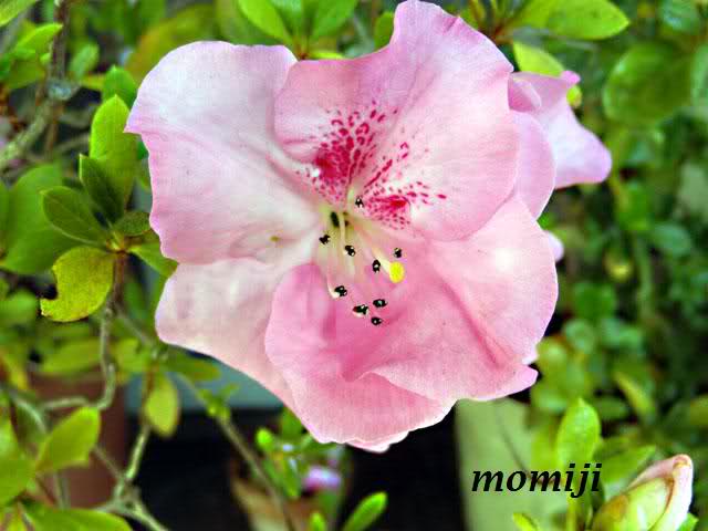 2mqqdn5.jpg