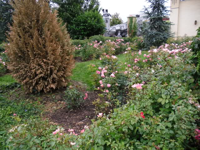 2n1f238.jpg