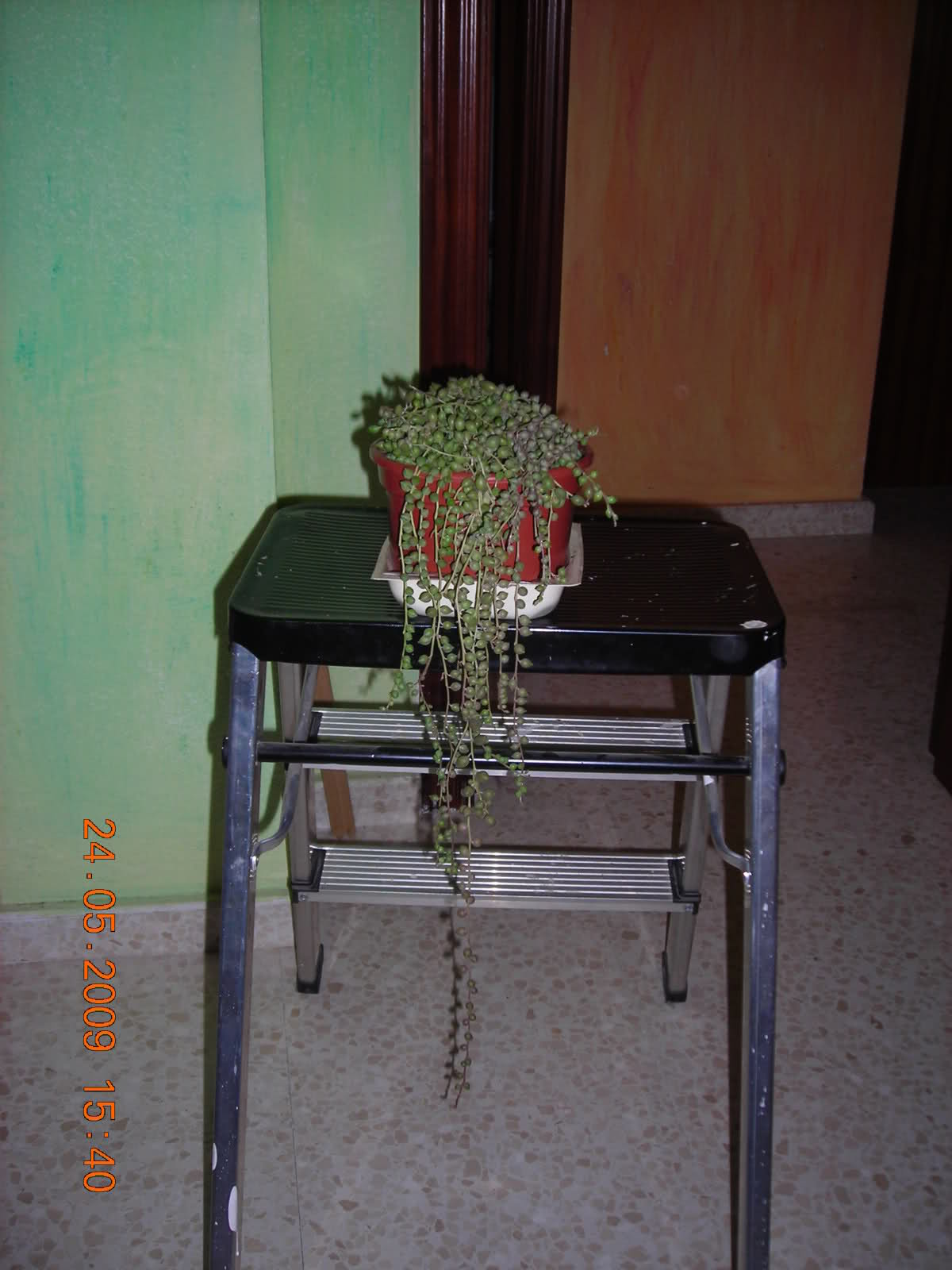2n6spe1.jpg