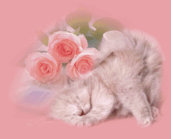 2n9e1r7.gif
