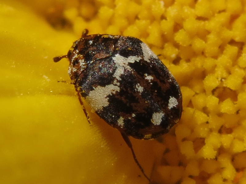 2n9w56x.jpg
