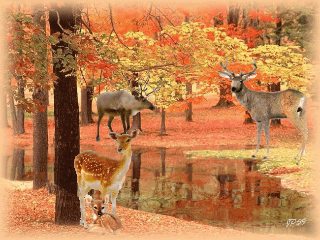 2q0624h.gif