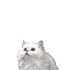 2qdofhk.jpg