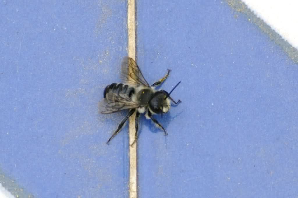 2qj9647.jpg