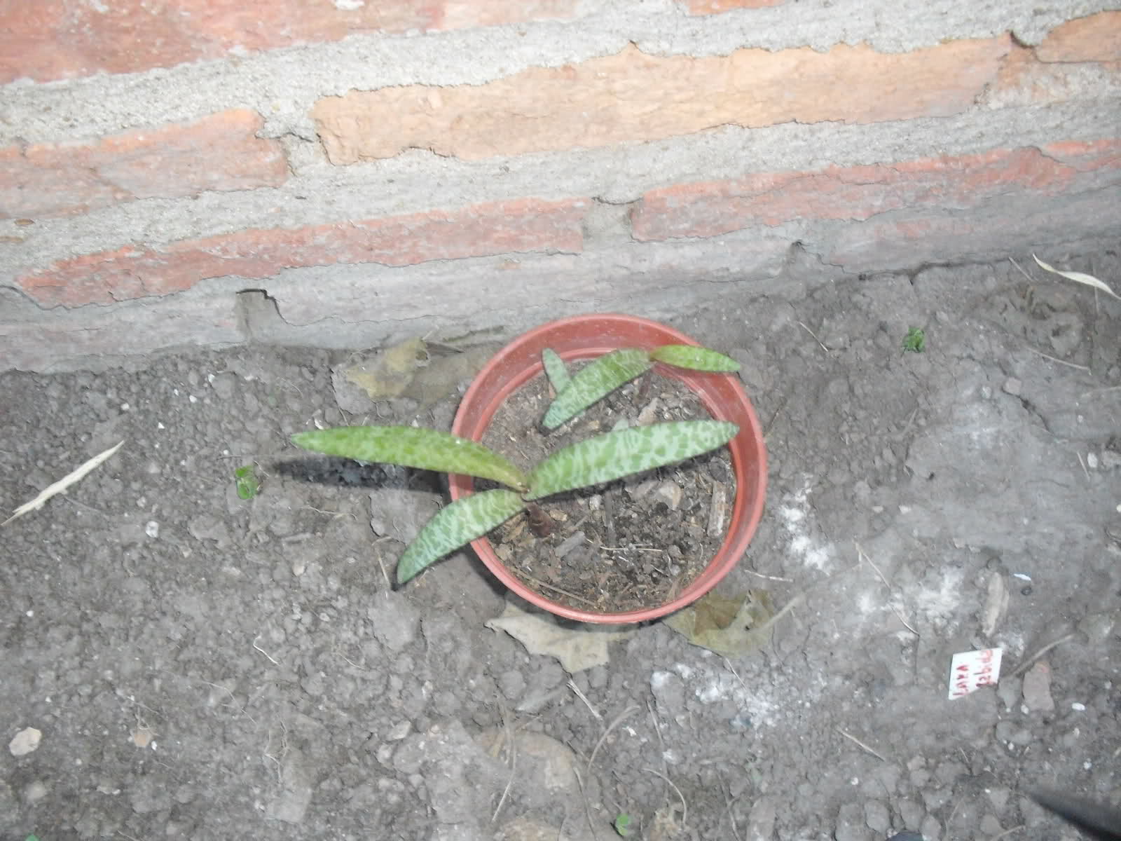 2qk3ui9.jpg