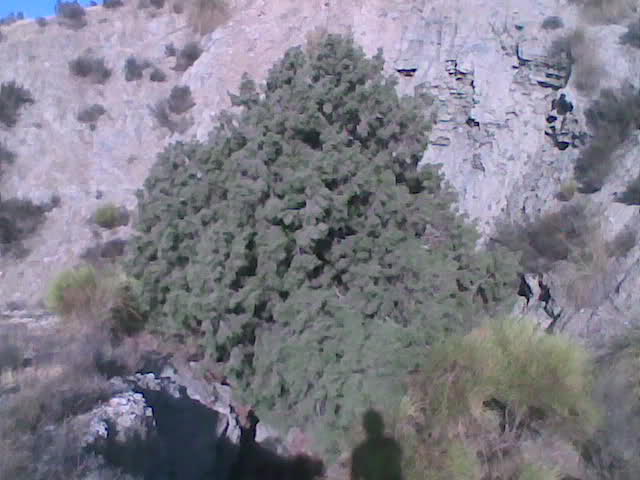 2r3f784.jpg