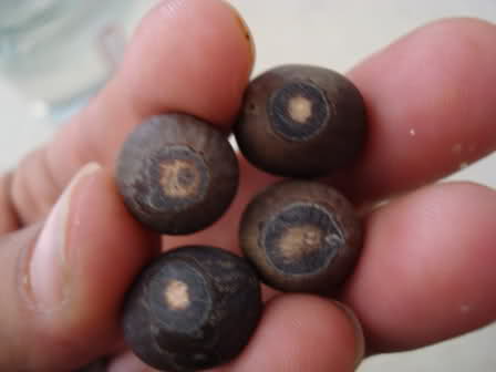 2r751g9.jpg