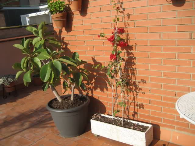2rdccj5.jpg