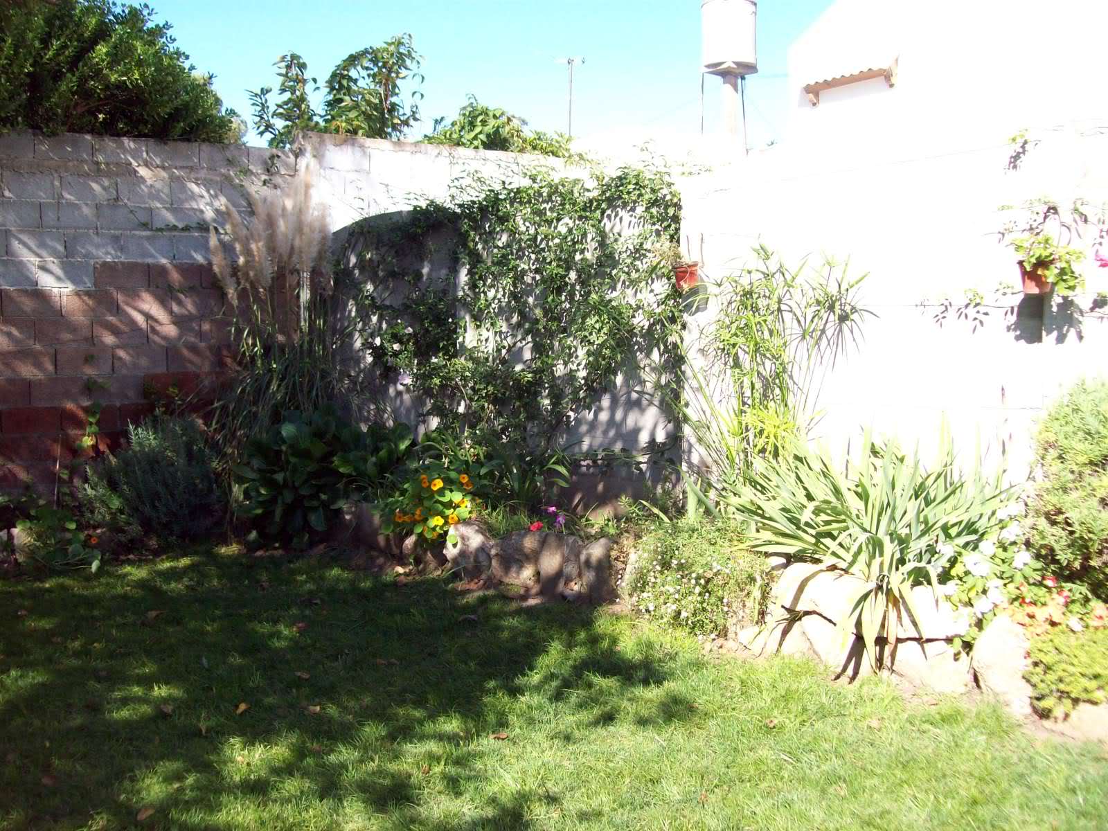 2rqf710.jpg