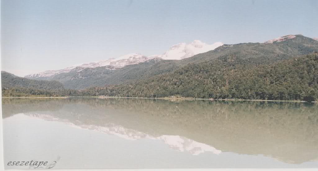 2s81nol.jpg
