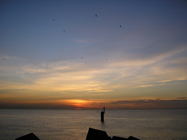 2Sol_006.jpg