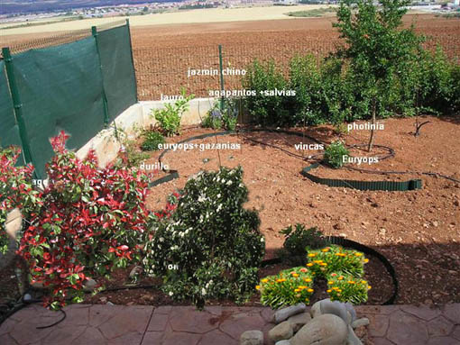 2Solarium%2520%2528Small%2529%257E0%20copia.jpg