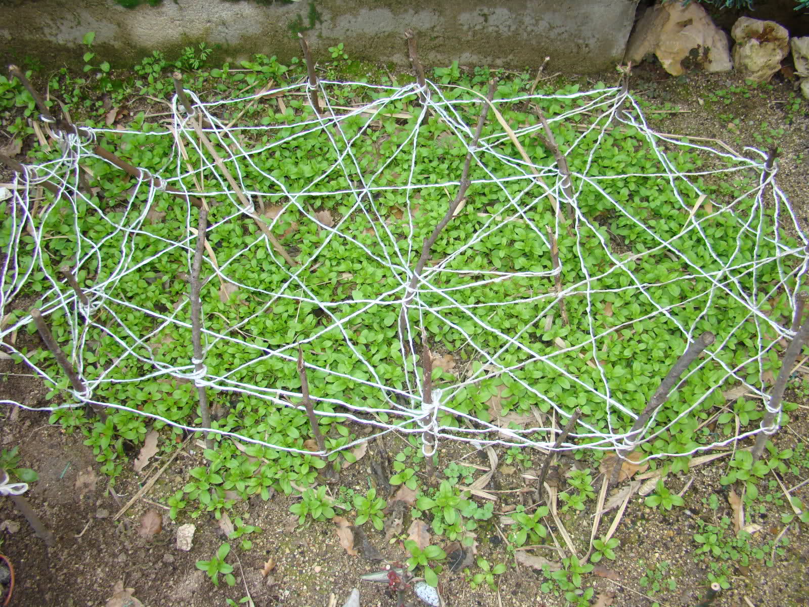 2u53x4m.jpg