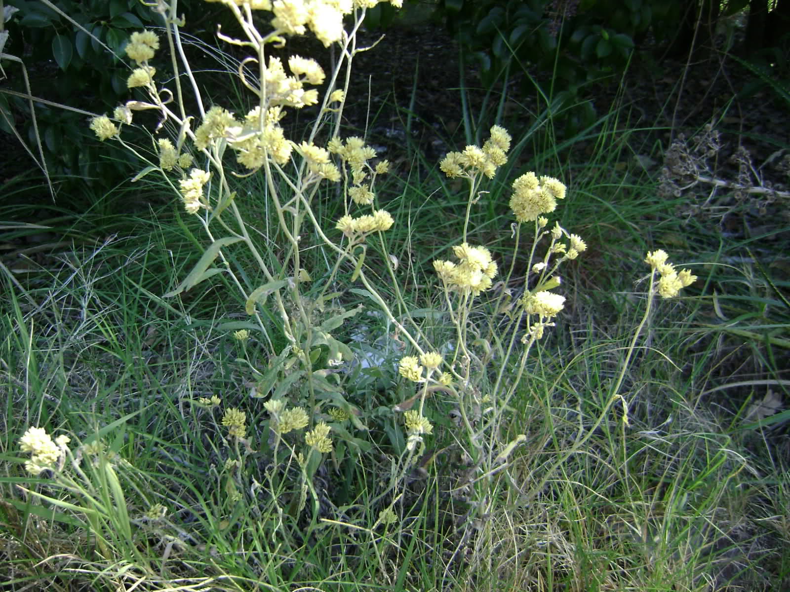 2u8f52q.jpg