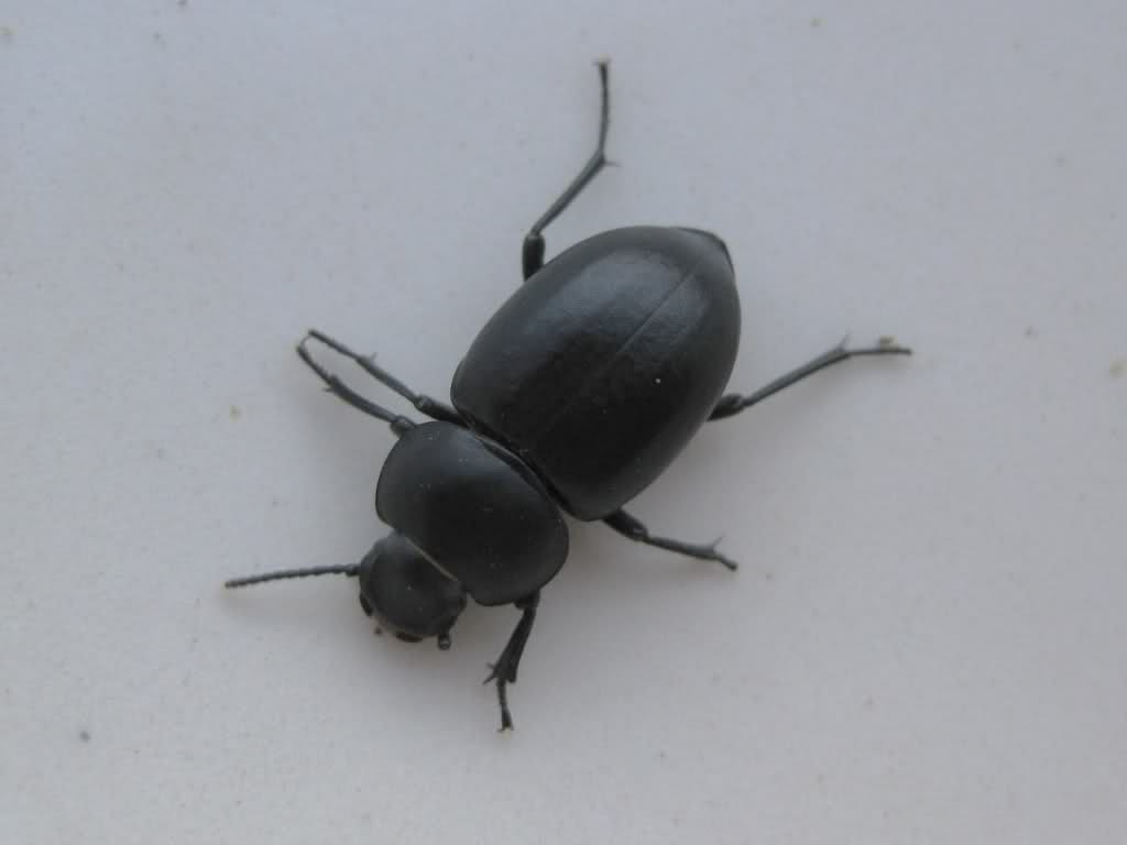 2u9u107.jpg