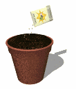 2up2tqr.gif