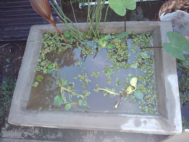 2v9okuf.jpg