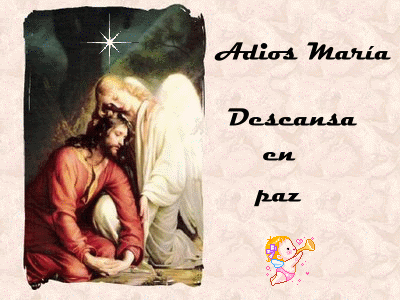 2vlto4p.gif