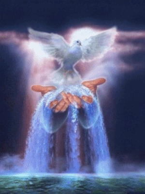 2vnqv5f.gif