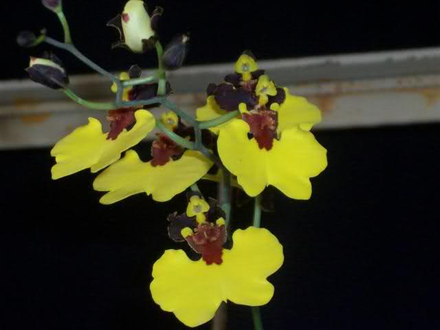 2vx58a0.jpg