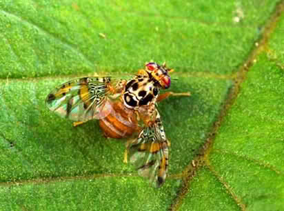 2wf314m.jpg