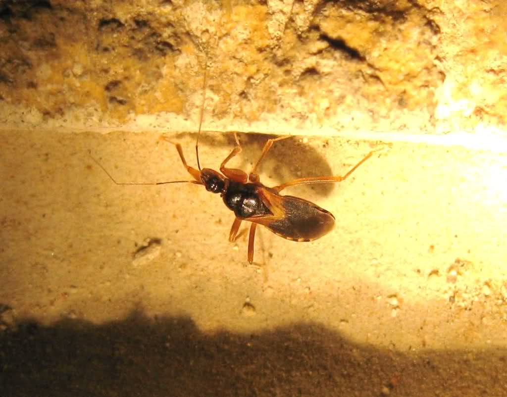 2wpr021.jpg
